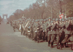 Wehrmacht Ring