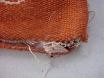 Pillow Case
