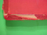 3-D Kampf in Westen Book