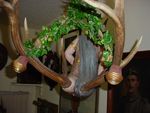 Wiking Chandelier